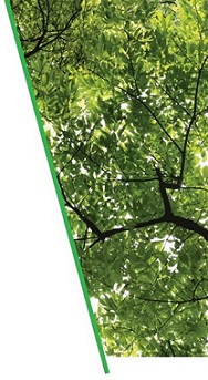 ECOJUTA