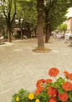 paves Senini4
